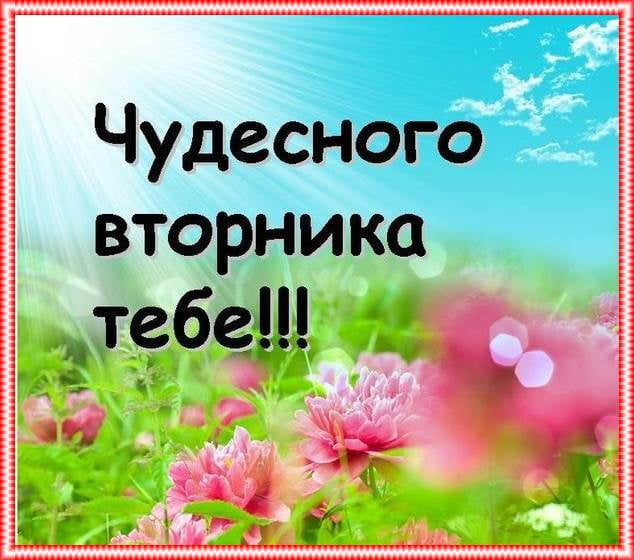 Открытка с пожеланием чудесного вторника тебе ,Открытка на вторник,