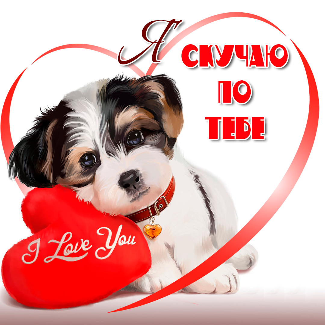 Открытка с надписью скучаю,красивая открытка скучаю,очень скучаю,щенок,сердце Открытка открытки скучаю ,очень скучаю,яркие ,красивые картинки картинка скучаю,я скучаю открытка,скучаю,сильно скучаю открытка ,картинка скачать бесплатно .