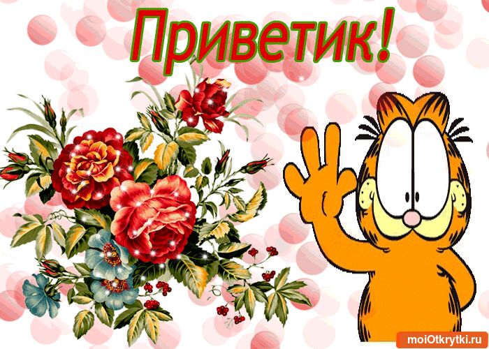 Открытки картинки привет,приветствие,красивые открытки привет Картинка открытка привет,передаю привет,открытки картинки приветствие,привет,яркие открытки передаю привет,приветик,приветствие,картинка привет скачать бесплатно