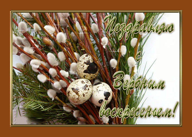 Картинка открытка на вербное воскресенье,с вербным воскресеньем Открытка открытки картинка картинки христианский праздник вербное воскресенье,с вербным,на вербное,открытка картинка вербное ,вербное воскресенье скачать бесплатно