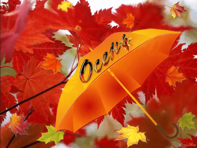 Открытка гиф,мерцающая с первым днём осени,с наступлением осени Открытка открытки гиф,анимация с первым днём осени,с приходом осени,первое сентября осень наступила,картинка картинки мерцающие с началом осени,первый день осени скачать