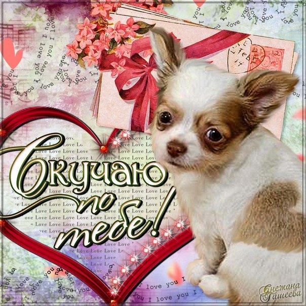 Открытки скучаю я скучаю по тебе,картинки с надписью скучаю . Картинки открытки с надписью ,с надписями скучаю,очень скучаю,картнки картинка скачую, надпись на открытки скучаю,очень скучаю,красивые открытки скучаю скачать.