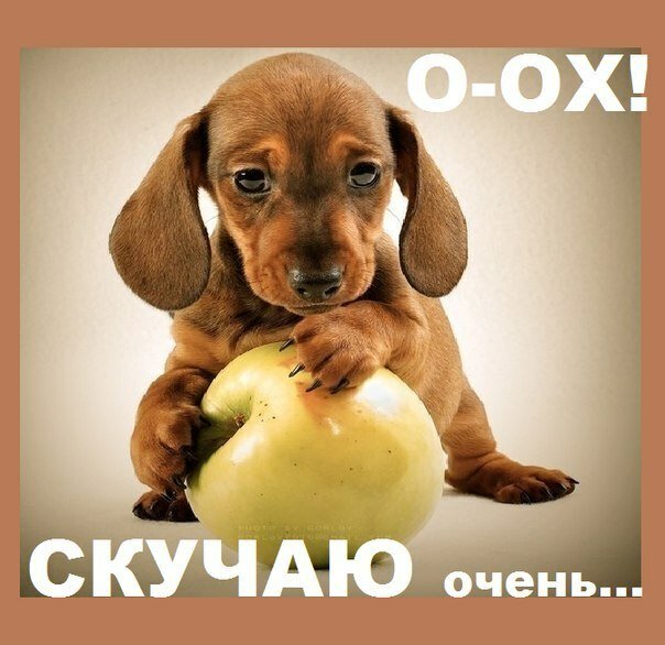 Открытки скучаю я скучаю по тебе,картинки с надписью скучаю . Картинки открытки с надписью ,с надписями скучаю,очень скучаю,картнки картинка скачую, надпись на открытки скучаю,очень скучаю,красивые открытки скучаю скачать.