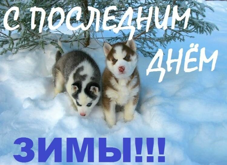 Открытка картинка с последним днём зимы,последний зимний день Открытка картинка открытки картинки с последним днём зимы,с последним зимним днём,поздравить с последним зимним днём,открытка картинка последний день зимы скачать