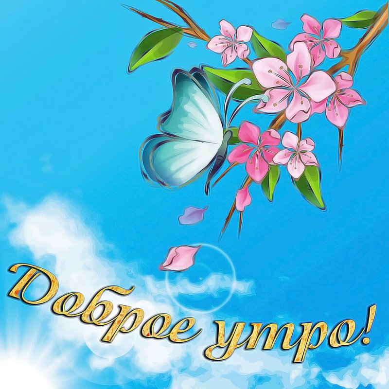 Открытка с добрым утрои,пожелания доброго утра,красивая открытка доброе утро Открытка открытки с добрым утром, яркие открытки картинки с пожеланиями доброго утра,с добрым утром открытки , красивая картинка доброе утро скачать бесплатно .
