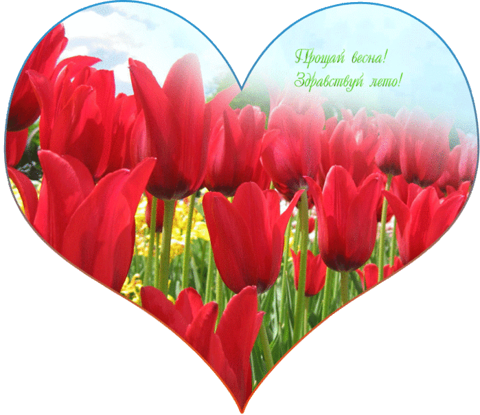 Открытки с последним днём весны , с последним весенним днём. Открытки картинки открытка картинка с последним днём весны,с последним весенним днём,открытка картинка последний день весны,прощай весна,последний весенний денёк