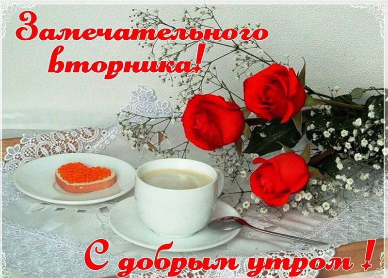 Открытка красивая доброе утро по дням недели, доброе утро вторника Картинка,открытка доброе утро вторника,открытки,открытка с добрым утром вторник,картинки,открытки вторник с добрым утром,яркие открытки с пожеланиями доброго утра вторника