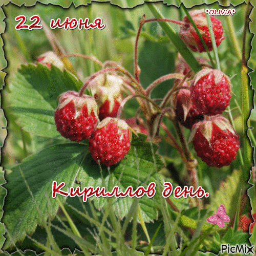 Мерцающия открытка 22 июня ,Кириллов день,