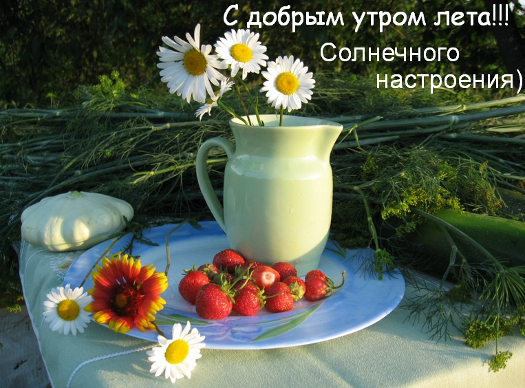 Открытка с добрым летним утром,доброго летнего утра,летнее утро Открытки картинки с добрым утром лета,доброе летнее утро,открытки открытка с пожеланиями доброго летнего утра,летнее доброе утро,доброе утро лета скачать бесплатно