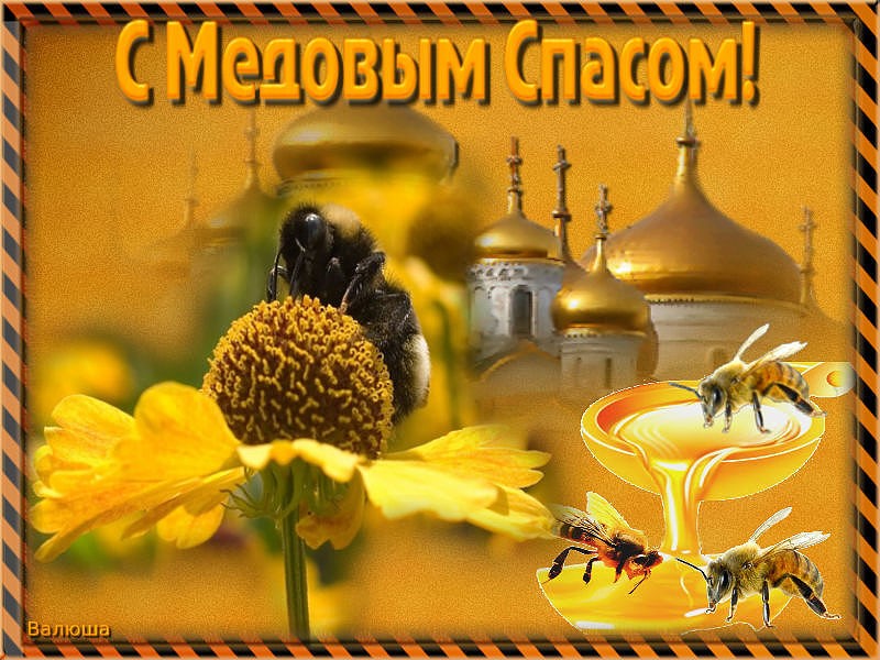 Картинка открытка с медовым спасом ,поздравления на медовый спас Картинка картинки открытка открытки медовый спас,поздравления с медовым спасом,народно хрестианский праздник медовый спас,открытка картинка с медовым спасом скачать