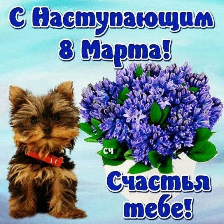 Открытки картинки с наступающим праздником 8 марта с женским днём  Открытка открытки картинка картинки с наступающим женским днём 8 марта,с наступающим 8 марта,открытка картинка весенний женский день с наступающим 8 марта  скачать