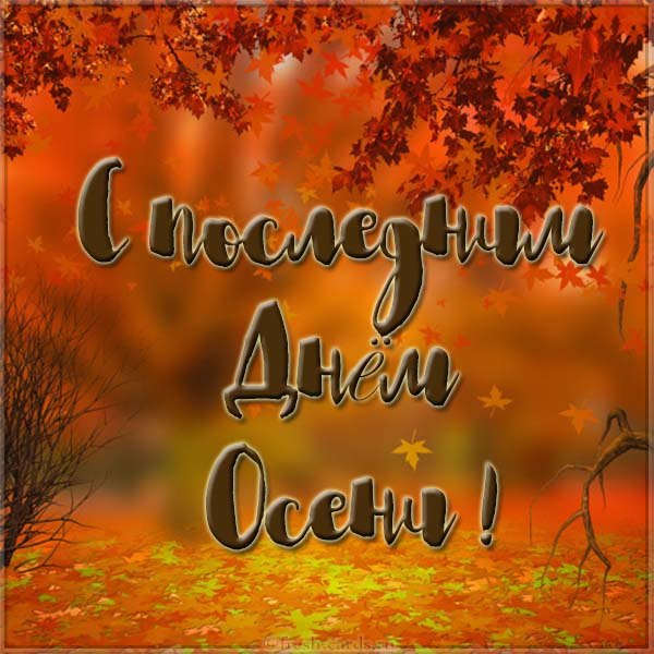 Открытка с последним днём осени,последий осенний день ,конец осени Открытка картинка открытки картинки с последним днём осени,последний осенний день,прощай осень,открытка картинка последний день осени,до свидания осень скачать 