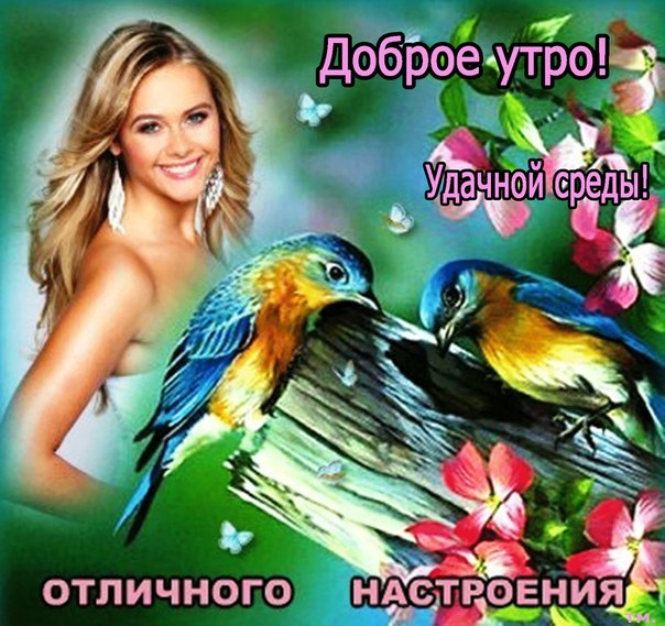 Открытка с пожеланиями доброго утра среды,с  добрым утром среда. Картинка,картинки с добрым утром среда,открытки открытка доброе утро среда,картинка,открытка красивая,яркая среда,доброе утро,дни недели,среда утро скачать бесплатно