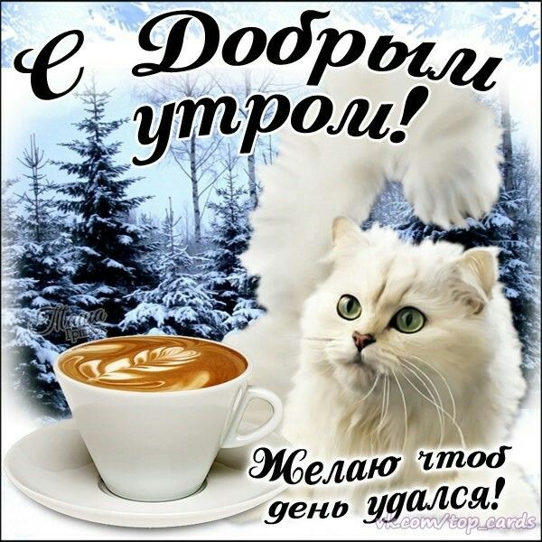 Открытка картинка с морозным добрым утром,зимнее доброе утро Открытка открытки картинка картинки с пожеланиями доброго морозного утра,утречка,с добрым морозным утром,открытка картинка доброе утро морозное,доброе зимнее утро