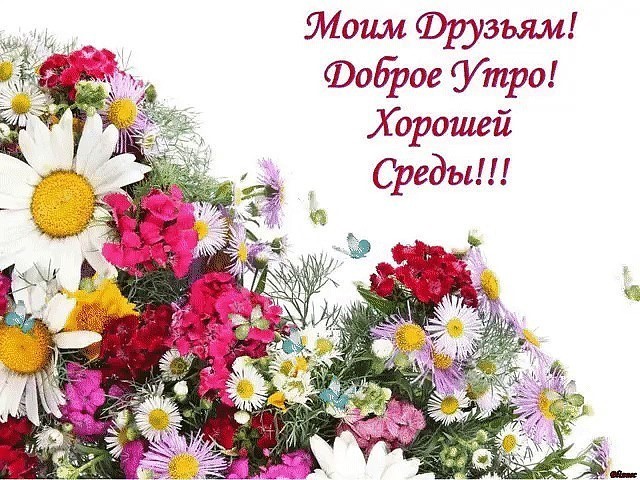 Открытка с пожеланиями доброго утра среды,с  добрым утром среда. Картинка,картинки с добрым утром среда,открытки открытка доброе утро среда,картинка,открытка красивая,яркая среда,доброе утро,дни недели,среда утро скачать бесплатно