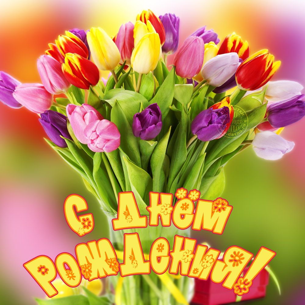Открытка картинка яркая с поздравлениями с днём рождения Картинки открытки с днём рождения,открытка поздравить с днём рождения,красивое поздравление с днём рождения,красивая открытка с днём рождения скачать бесплатно.