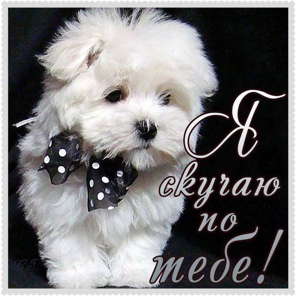 Открытка с надписью скучаю,красивая открытка скучаю,очень скучаю Открытка открытки скучаю ,очень скучаю, яркие , красивые картинки картинка скучаю,я скучаю открытка,скучаю,сильно скучаю открытка ,картинка скачать бесплатно . 