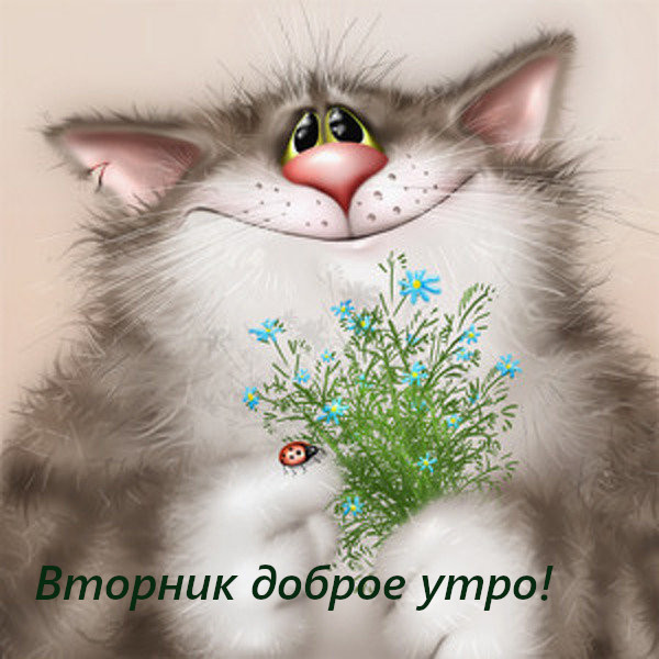 Открытка красивая доброе утро по дням недели, доброе утро вторника Картинка,открытка доброе утро вторника,открытки,открытка с добрым утром вторник,картинки,открытки вторник с добрым утром,яркие открытки с пожеланиями доброго утра вторника