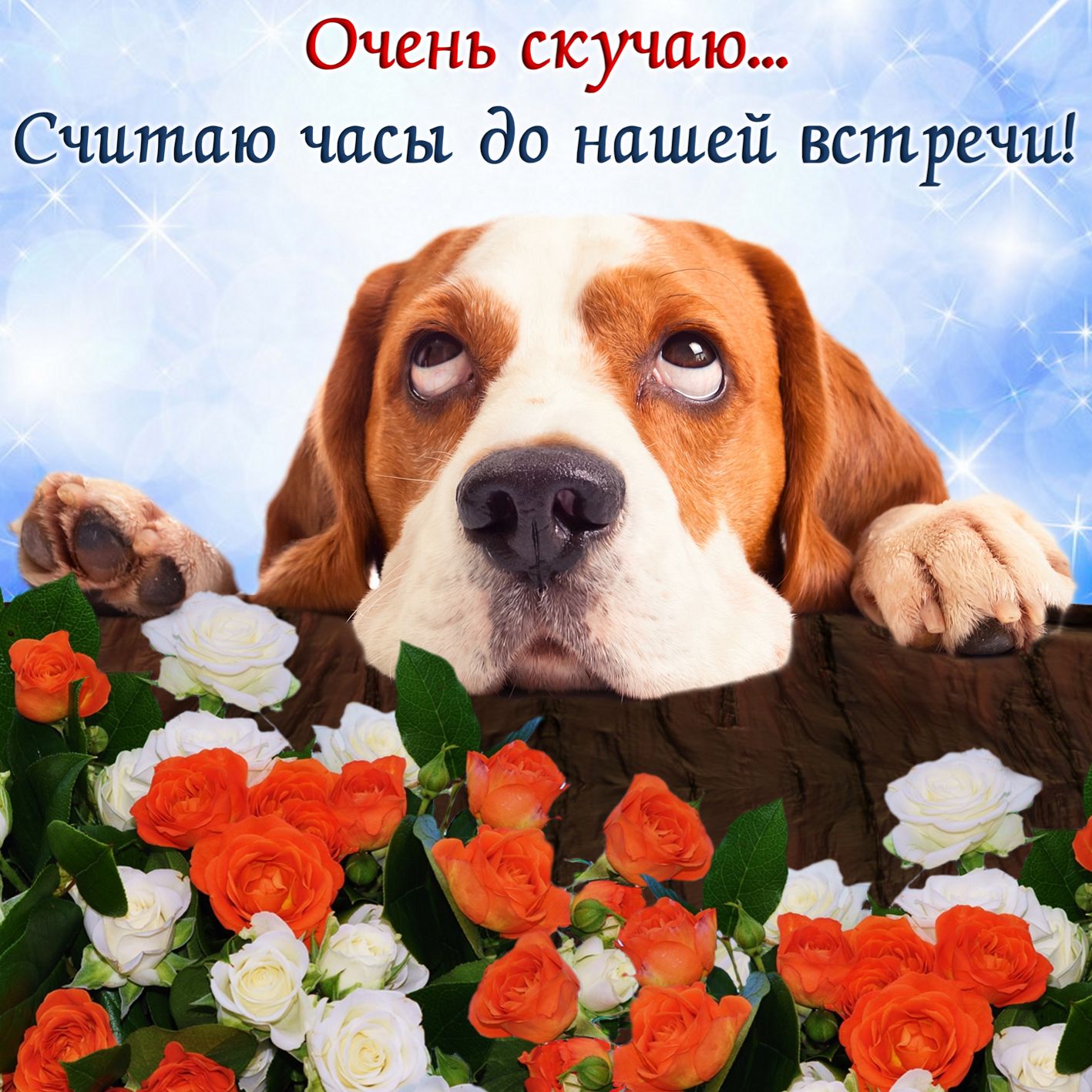 Открытка с надписью скучаю,красивая открытка скучаю,очень скучаю Открытка открытки скучаю ,очень скучаю, яркие , красивые картинки картинка скучаю,я скучаю открытка,скучаю,сильно скучаю открытка ,картинка скачать бесплатно . 