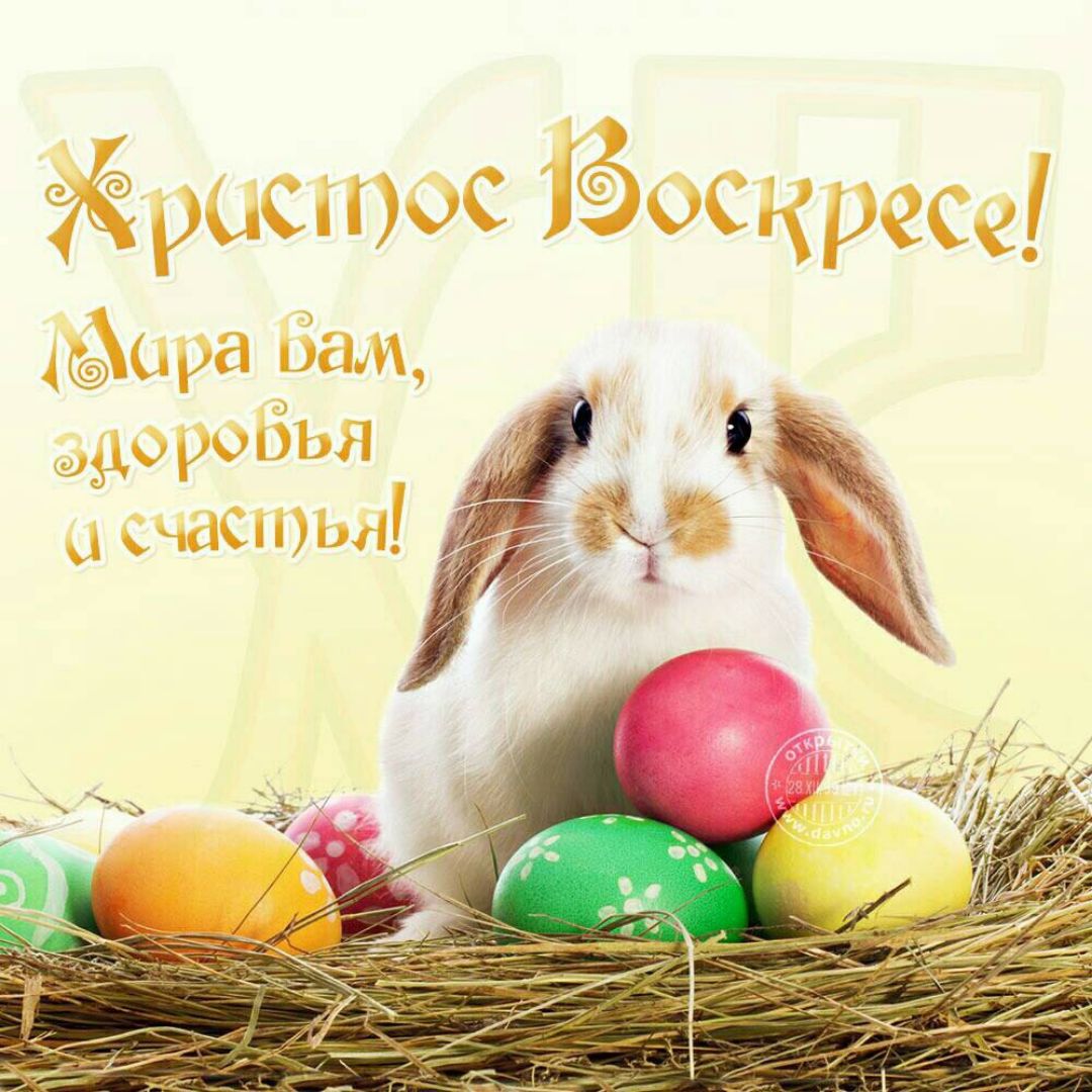 Открытка пасха на пасху со светлым праздником пасхи поздравление Открытка открытки картинка картинки на пасху ,с пасхой ,на светлый праздник пасхи,красивач ,яркая открытка картинка с пасхой ,христос воскрес,открытка пасха скачать