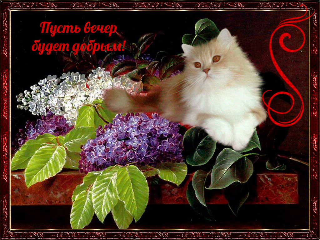 Открытка гиф ,мерцающая добрый вечер,анимированная открытка доброго вечера Открытка открытки гиф добрый вечер,пожелания доброго вечера,приятного вечера,картинки открытки мерцающие с добрым вечером,доброго вечера,красивая гифка добрый вечер,скачать