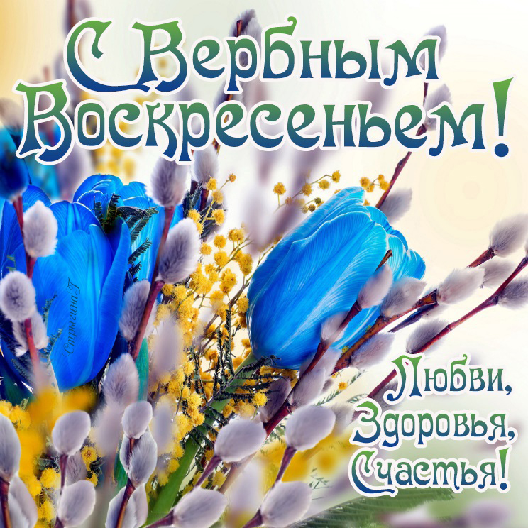 Картинка открытка на вербное воскресенье,с вербным воскресеньем Открытка открытки картинка картинки христианский праздник вербное воскресенье,с вербным,на вербное,открытка картинка вербное ,вербное воскресенье скачать бесплатно