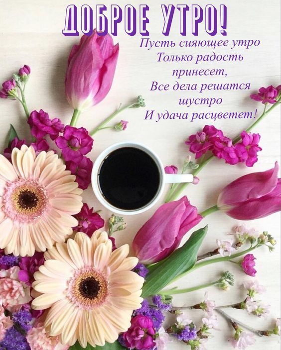 Открытки картинки с добрым утром ,доброе утро,пожелания доброго утра Открытка картинка красивая с пожеланиями доброго утра ,с добрым утром,открытки картинки доброе утро ,бодрого утра,пожелать доброго утра,доброе утро скачать бесплатно