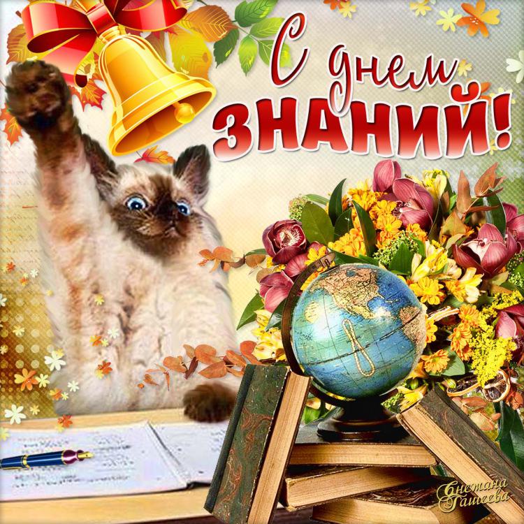 Открытка картинка на 1 сентября начало учебного года,день знаний,кот Открытка открытки с 1 сентября на первое сентября день знаний,картинка картинки с 1 сентября,с началом учебного года,открытка картинка 1 сентября день знаний скачать