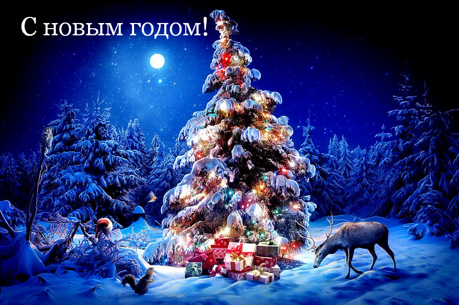 Открытка картинка новогодняя с новым годом,на новый год,31 декабря Открытка картинка открытки картинки с новым годом ,на новый год,31 декабря поздравления на новый год,красивые открытки с новым годом,новогодние открытки скачать