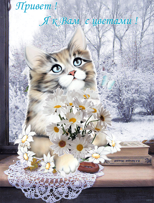 Открытка картинка гиф ,мерцающая привет,приветсвие,передать привет Открытка открытки гиф приветствие,привет,передаю привет картинки анимированные,мерцающие открытки привет,приветик,передаю привет,яркие открытки картинки гиф привет