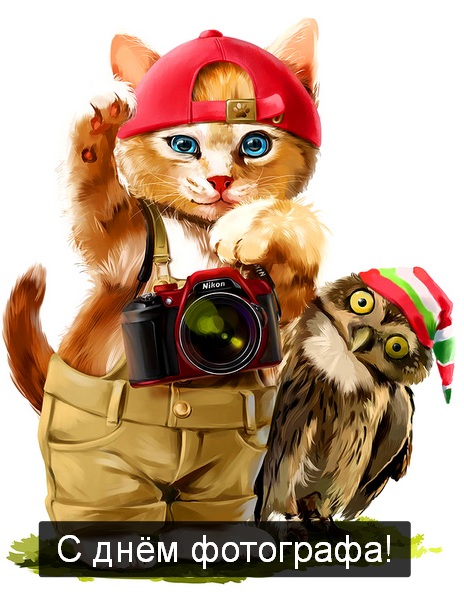 Открытка картинка день фотографа,праздником день фотографа,кот,сова Открытка открытки картинка картинки день фотографа,с проф.праздником день фотографа,на день фотографа,красивая картинка открытка с днём фотографа скачать бесплатно