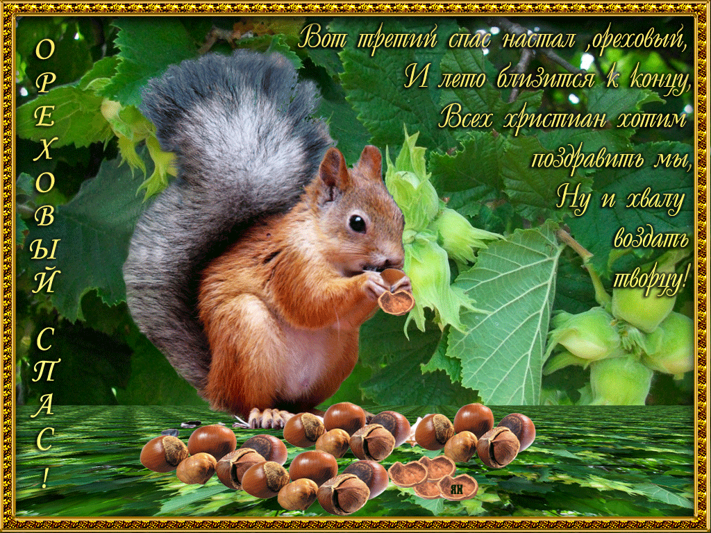 Открытка картинка гиф ,мерцающая орехово хлебный спас,третий спас  Открытка картинка гиф,открытки картинки гиф ореховый спас,анимированная открытка орехово хлебный спас,третий спас,мерцающая открытка картинка ореховый спас скачать