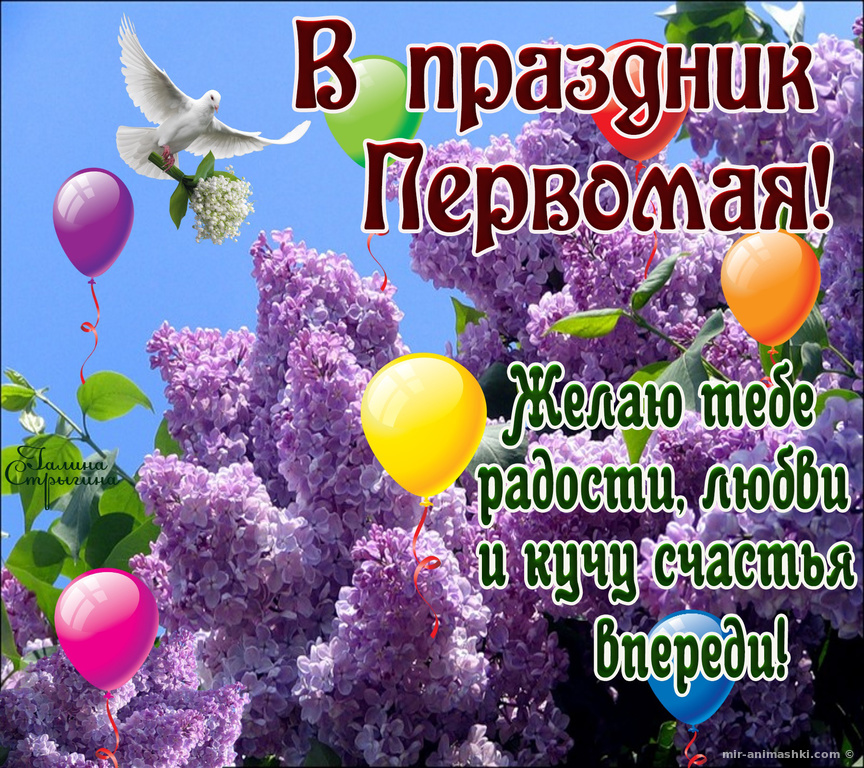 Открытка с праздником 1 мая,с весенним праздником 1 мая ,весна Открытка картинка открытки картинки с праздником первомай,1 мая мир,труд,май,открытка картинка с 1 мая ,на 1 мая,первомай,весенний праздник 1 мая скачать бесплатно