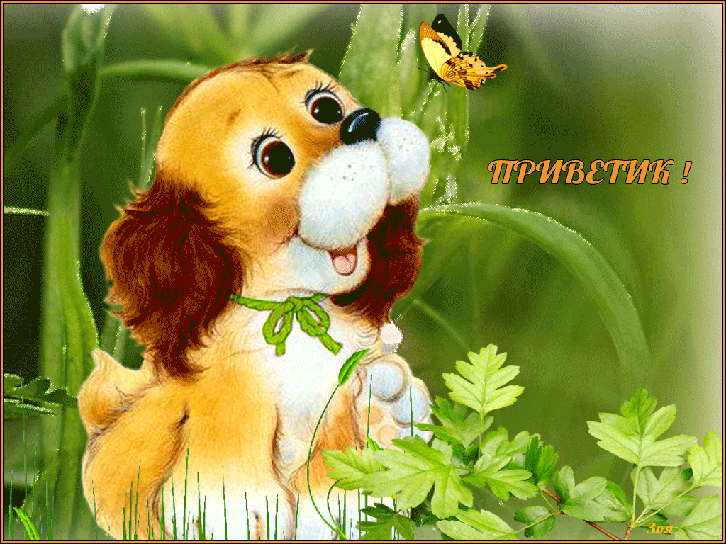 Открытка картинка гиф ,мерцающая привет,приветсвие,передать привет Открытка открытки гиф приветствие,привет,передаю привет картинки анимированные,мерцающие открытки привет,приветик,передаю привет,яркие открытки картинки гиф привет