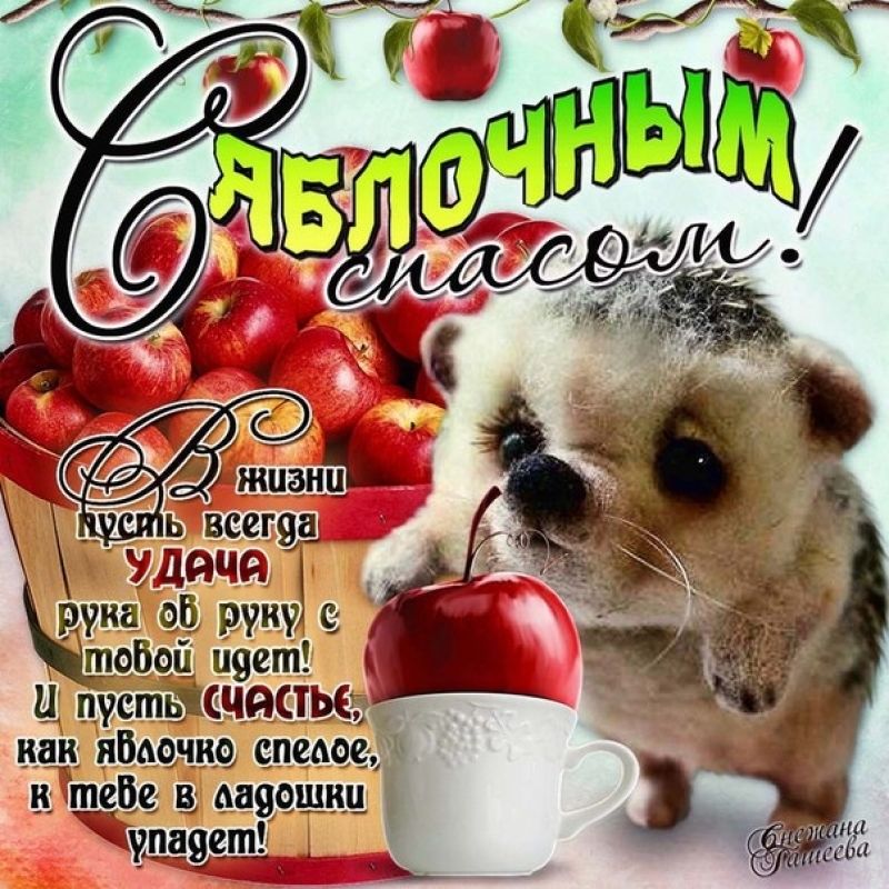 Открытка картинка с яблочным спасом,с приображением Господним, Открытка открытки картинка картинки с яблочным спасом,поздравления на яблочный спас,приображение Господне,открытка с поздравлениями с яблочным спасом скачать . 