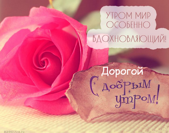 Открытка доброе утро любимый,любовь моя,дорогой,любимый мой  Открытка открытки картинка картинки с пожеланиями доброго утра любимому человеку,доброе утро любимый,дорогой,открытка картинка с добрым утром мой любимый,любимый