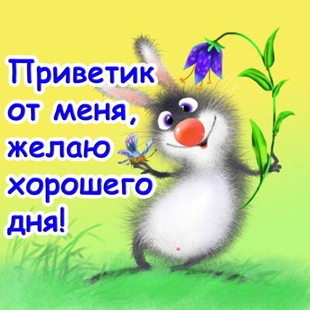 Открытки картинки привет,приветствие,красивые открытки привет Картинка открытка привет,передаю привет,открытки картинки приветствие,привет,яркие открытки передаю привет,приветик,приветствие,картинка привет скачать бесплатно