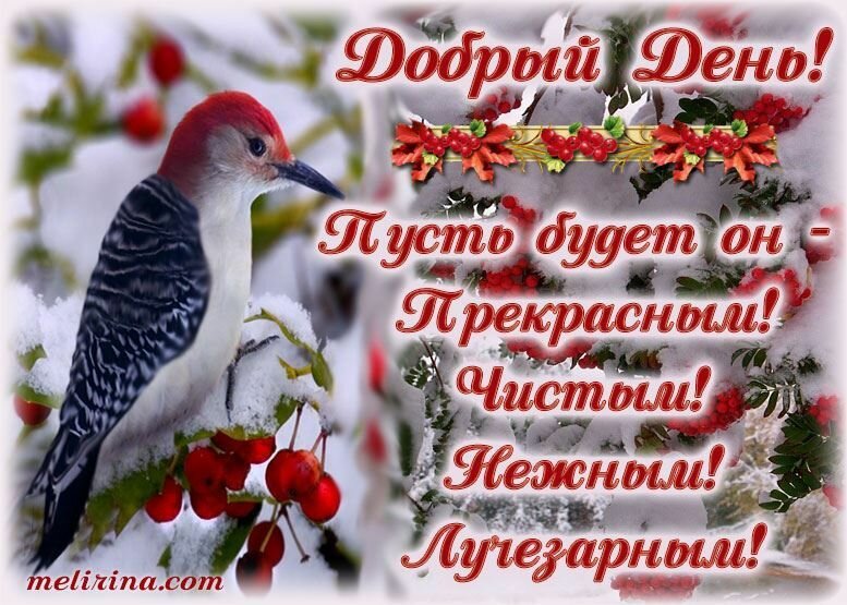 Открытка добрый день,картинка пожелания доброго дня,день добрый Открытка открытки картинка картинки доброго дня,добрый день,пожелания доброго дня,доброго прекрасного дня,красивая открытка добрый день,пожелать доброго дня скачать