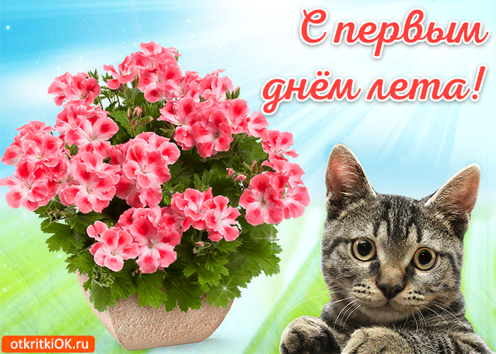 Открытка гиф с первым днём лета,первое июня , с началом лета. Открытка открытки гиф ,мерцающая с наступлением лета,первый летний день,картинка картинки гиф,анимационные с первым днём лета,1 июня начало лета скачать бесплатно