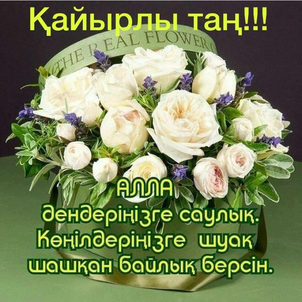 Открытка картинка на казахском языке доброе утро кайырлы тан Открытка открытки картинка картинки доброе утро на казахском языке кайырлы тан , с добрым утром кайырлы тан открытки картинки на казахском , скачать бесплатно. 