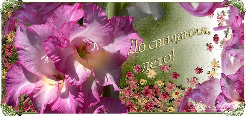 Открытка последний день лета,с последним днём уходящего лета Открытка картинка открытки картинки с последним днём лета,последний день лета,открытка картинка последний день лета,прощай лето,до свидания лето,конец лета открытки