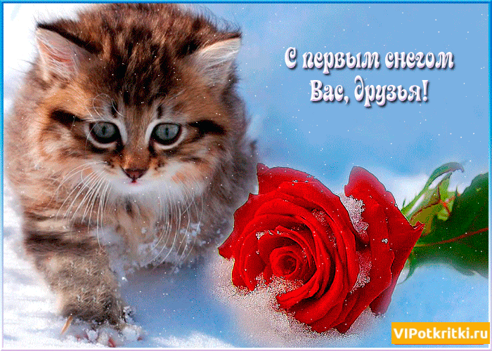 Открытка гиф с первым снегом, поздравления с первым снегом . Открытки открытка картинки картинка гиф ,мерцающая с первым снегом,выпал первый снег,поздравления с первым снегом.с выподением первого снега,открытка гиф с первым снегом