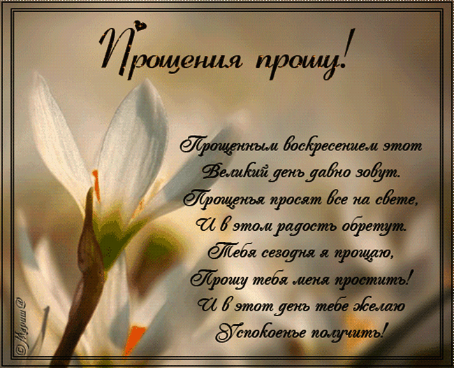 Открытка картинка прощённое воскресенье,с прощённым воскресеньем Открытка открытки картинка картинки прощённое воскресенье, на прощённое воскресенье,открытка картинка с прощённым воскресеньем,прощённое воскресенье скачать бесплатно