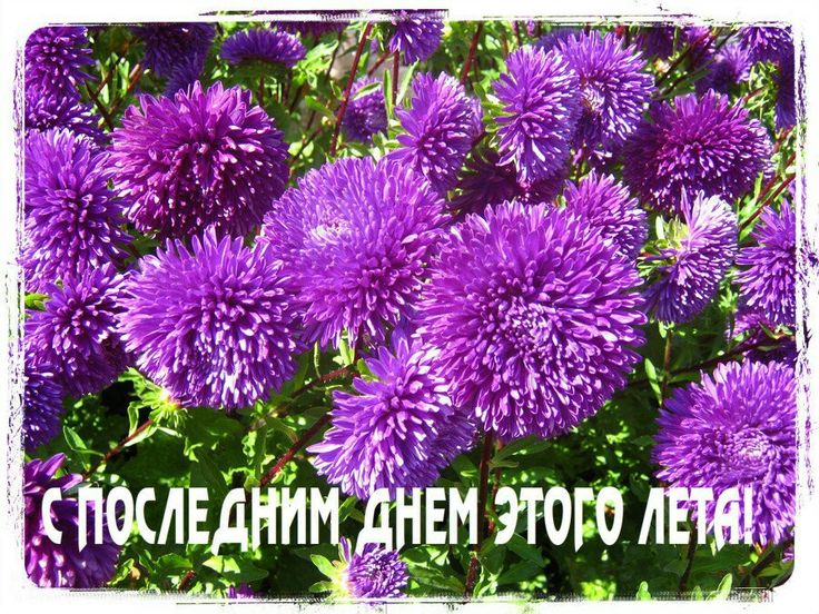 Открытка последний день лета,с последним днём уходящего лета Открытка картинка открытки картинки с последним днём лета,последний день лета,открытка картинка последний день лета,прощай лето,до свидания лето,конец лета открытки