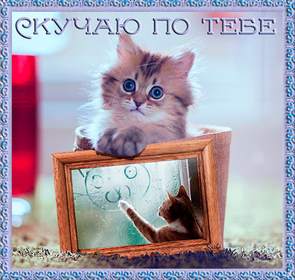 Открытка гиф ,мерцающая скучаю,скучаю по тебе,скучаю сильно. Открытка картинка гиф,анимированная,мерцающая скучаю ,с надписью скучаю,красивые открытки гиф скучаю ,очень скучаю, открытка открытки скучаю скачать бесплатно .