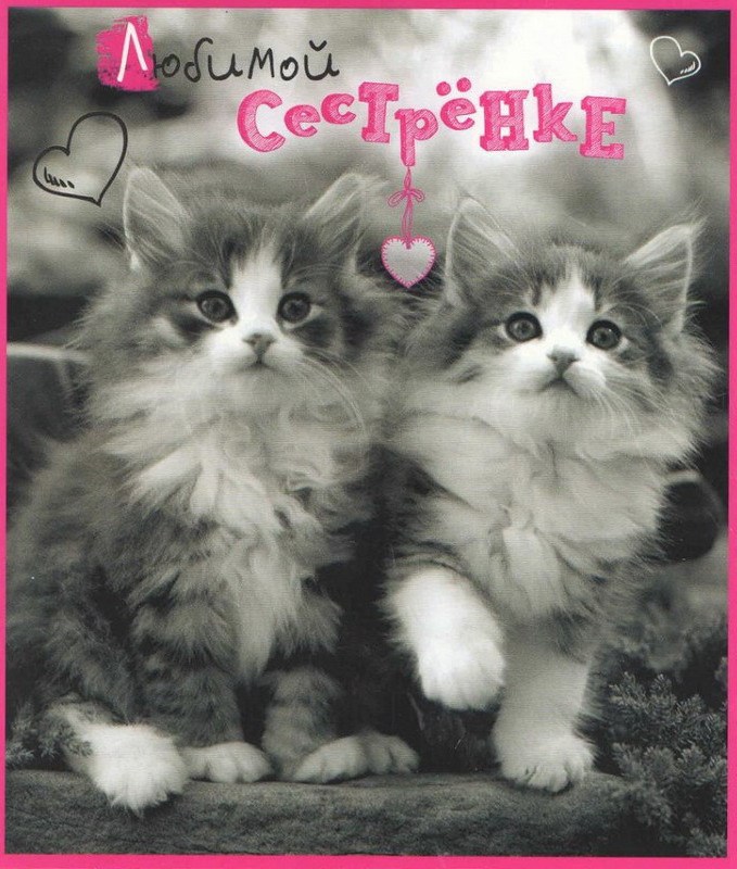 Открытки картинки с днём рождения сестра,дорогая сестричка . Открытки открытка с днём рождения сестре,поздравления сестре на день рождения,яркие картинки с днём рождения сестра,сестрёнка,открытки для сестры на день рождения скачать