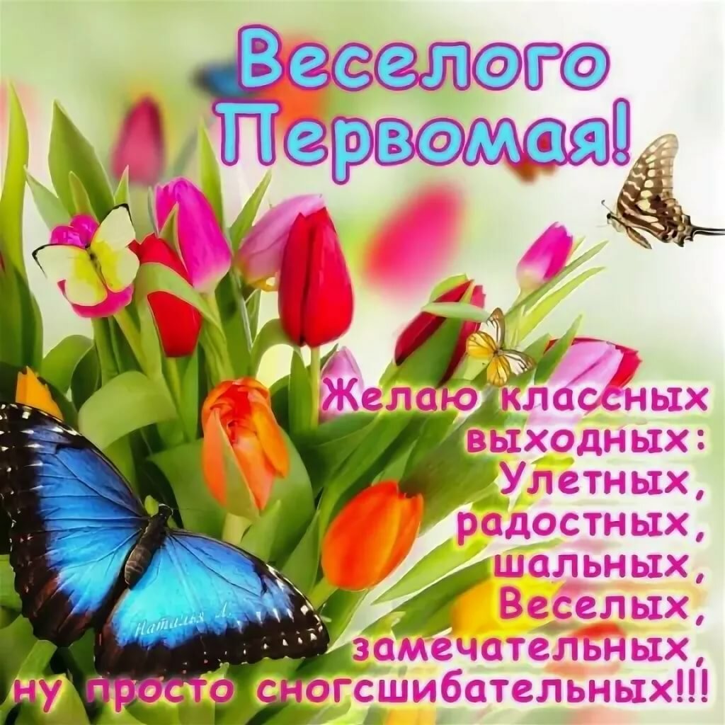 Открытка на 1 мая,первомай,поздравления с праздником 1 мая . Открытка открытки картинка картинки с весенним праздником 1 мая,первомай,мир труд май ,открытка картинка на праздник 1 мая,поздравления с 1 маем скачать бесплатно