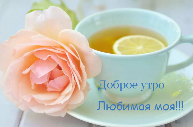 Открытка с добрым утром для любимой,дорогой,девушки,доброго утра Открытка открытки картинки картинка любимая с добрым утром,пожелания с любовью для любимой с добрым утром ,картинка открытка доброго утро любимая моя ,любимой .