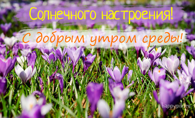 Открытка с пожеланиями доброго утра среды,с  добрым утром среда. Картинка,картинки с добрым утром среда,открытки открытка доброе утро среда,картинка,открытка красивая,яркая среда,доброе утро,дни недели,среда утро скачать бесплатно
