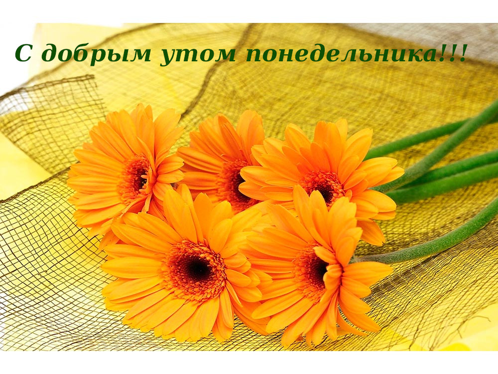 Открытка доброе утро по дням недели, доброе утро понедельника Картинка,открытка с добрым утром дни недели,открытки,открытка с пожеланиями доброго утра понедельника,картинка,картинки с добрым утром понедельник скачать бесплатно